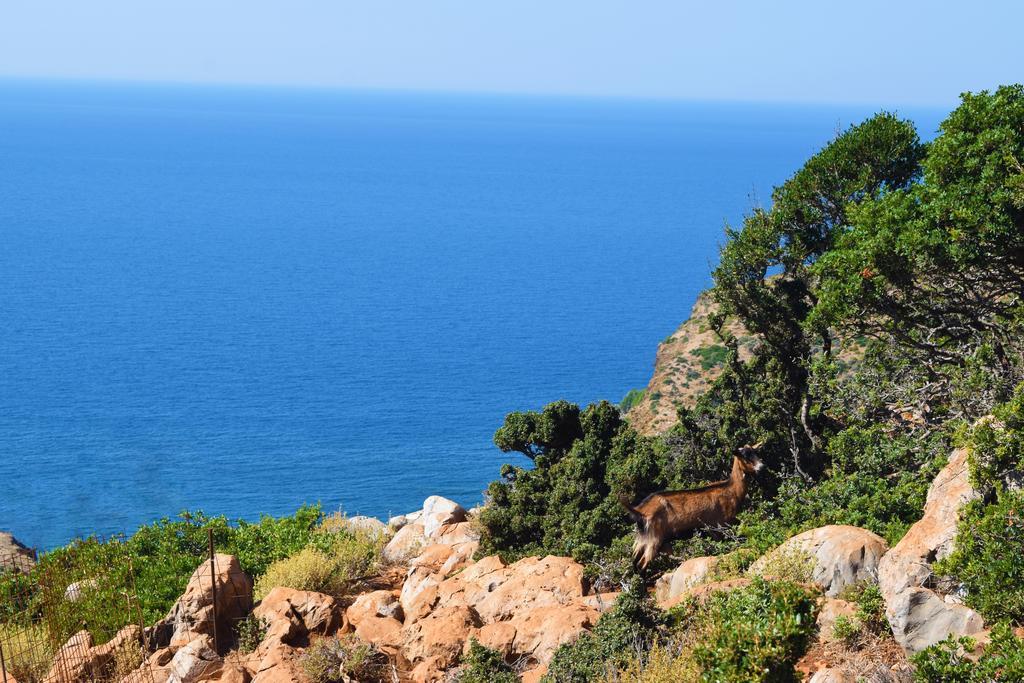 Okeanides Villas Rethymno  Bagian luar foto